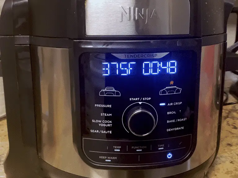 Difference between Ninja Foodi and Ninja Foodi Deluxe Foodie Results