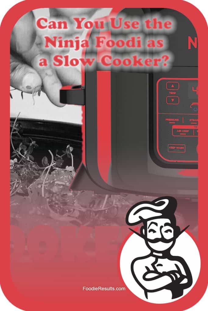Can You Use the Ninja Foodi as a Slow Cooker? Foodie Results