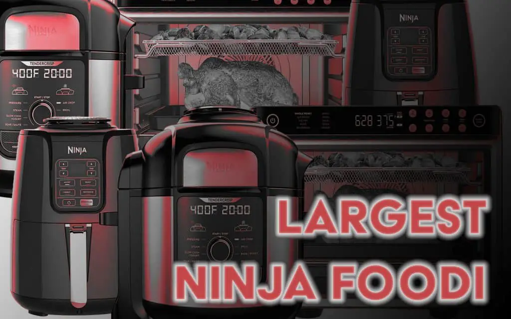 What is the Largest Ninja Foodi? Foodie Results