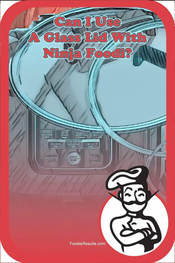 pressure-cooker-lid-can-i-use-a-glass-lid-with-ninja-foodi-foodie