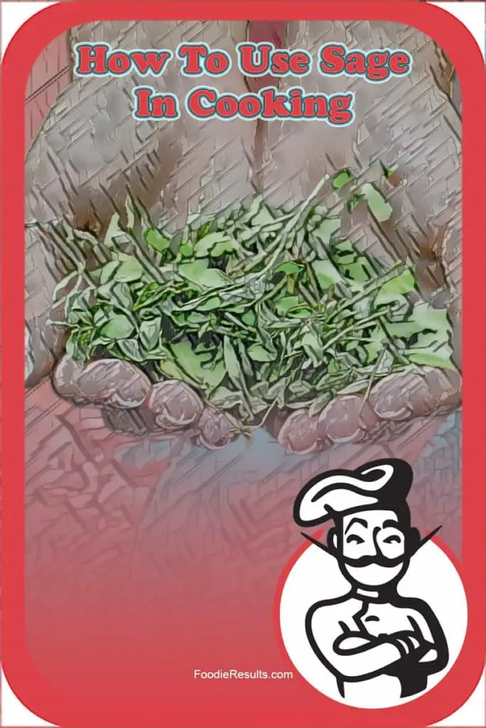 How To Use Sage In Cooking Foodie Results 1