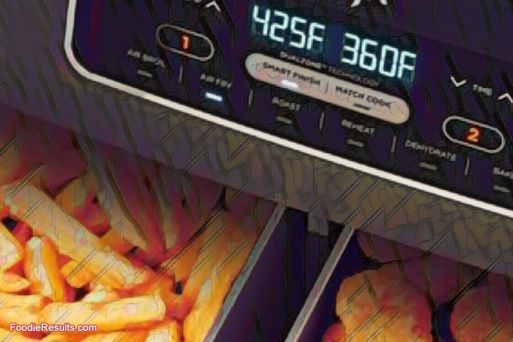 What is the Largest Ninja Foodi Air Fryer? Foodie Results