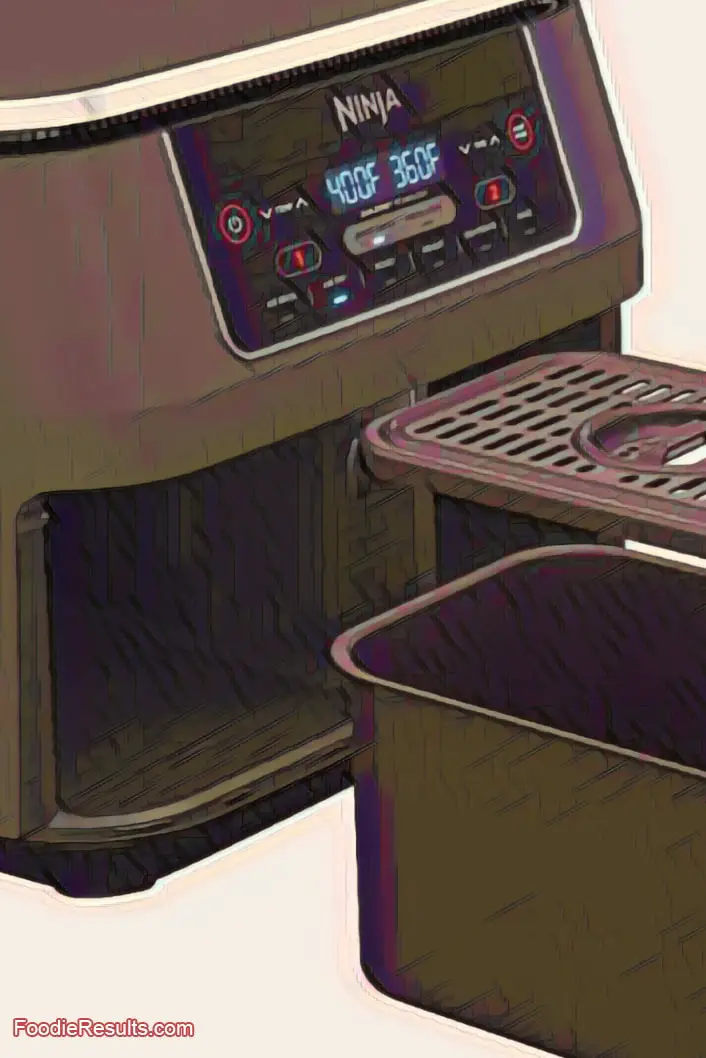 What is the Largest Ninja Foodi Air Fryer? Foodie Results