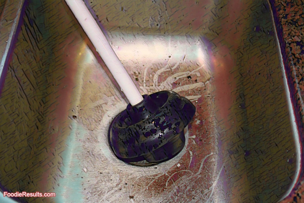 How To Unclog A Double Kitchen Sink With Garbage Disposal? - Foodie Results